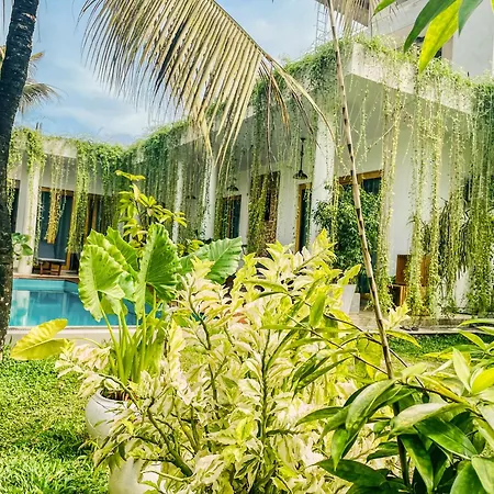 Eton Villa Dikwella Extérieur photo